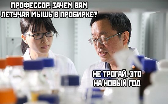 550x343, 56 Kb / китайцы, пробирка, новый год, вирус, летучая мышь, профессор