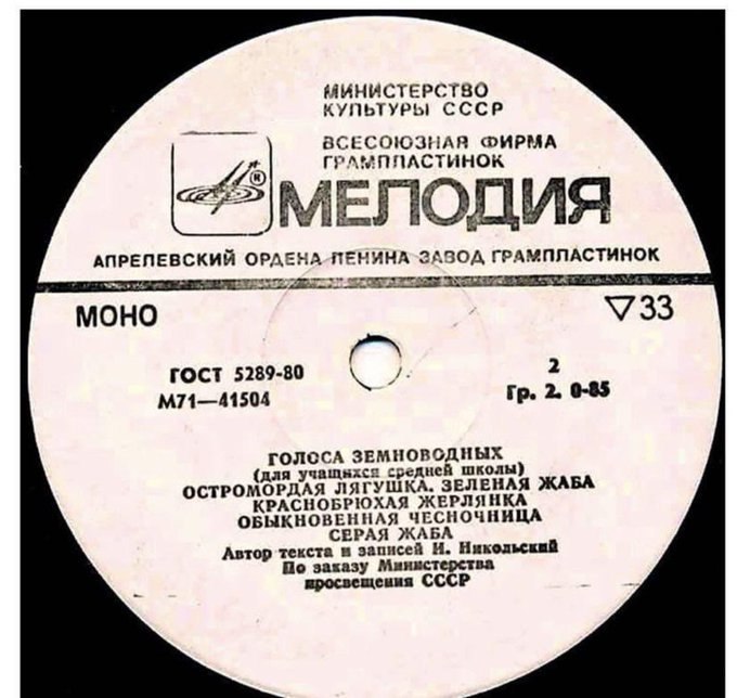 680x644, 87 Kb / мелодия, пластинка, земноводные, голоса, лягушка, жаба, ссср, ч/б