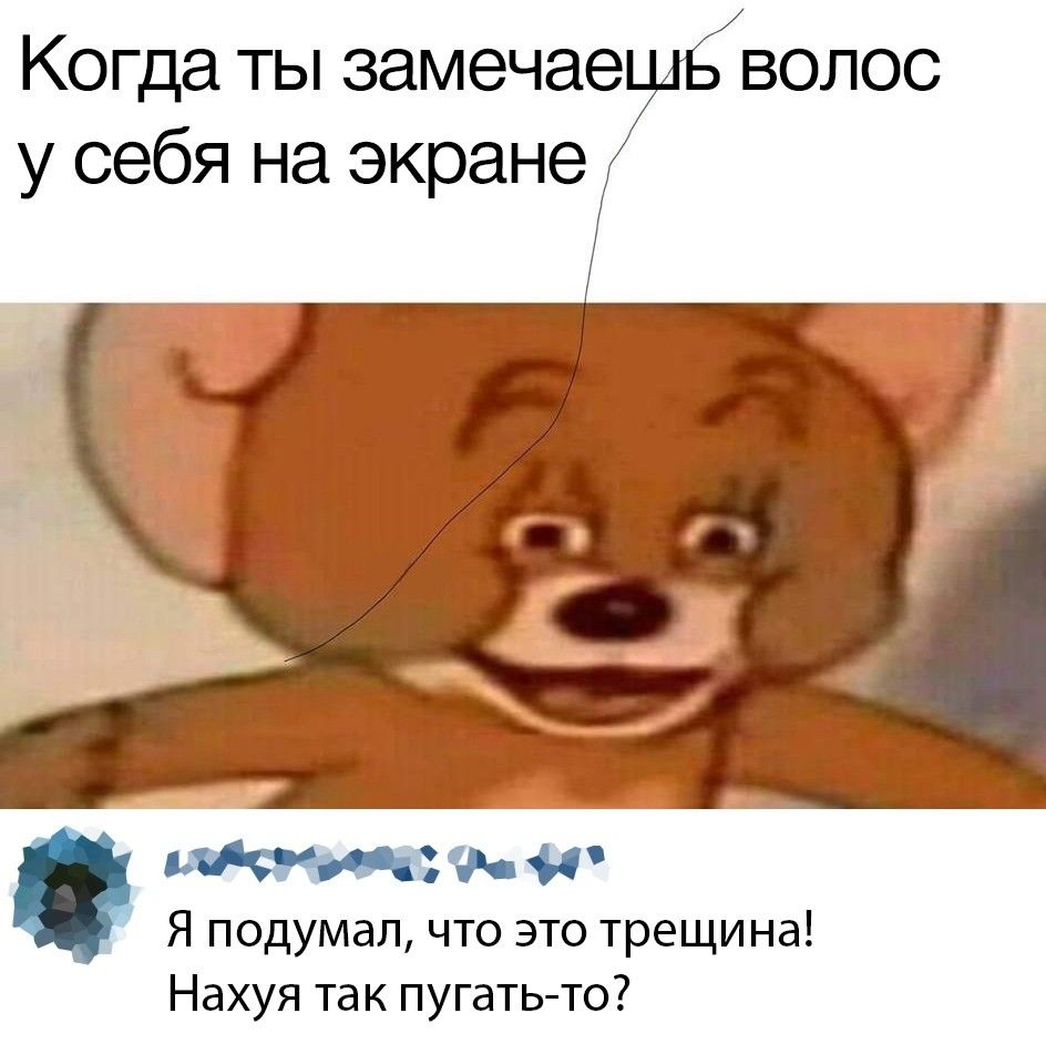 944x951, 80 Kb / джерри, волос, трещина