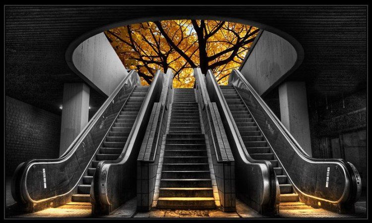750x450, 76 Kb / эскалатор, осень