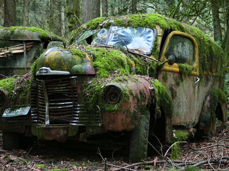 913x683, 169 Kb / автомобиль, мох