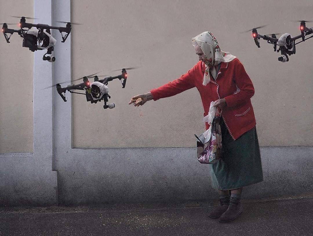 1080x815, 98 Kb / дроны, голуби, бабушка, киберпанк