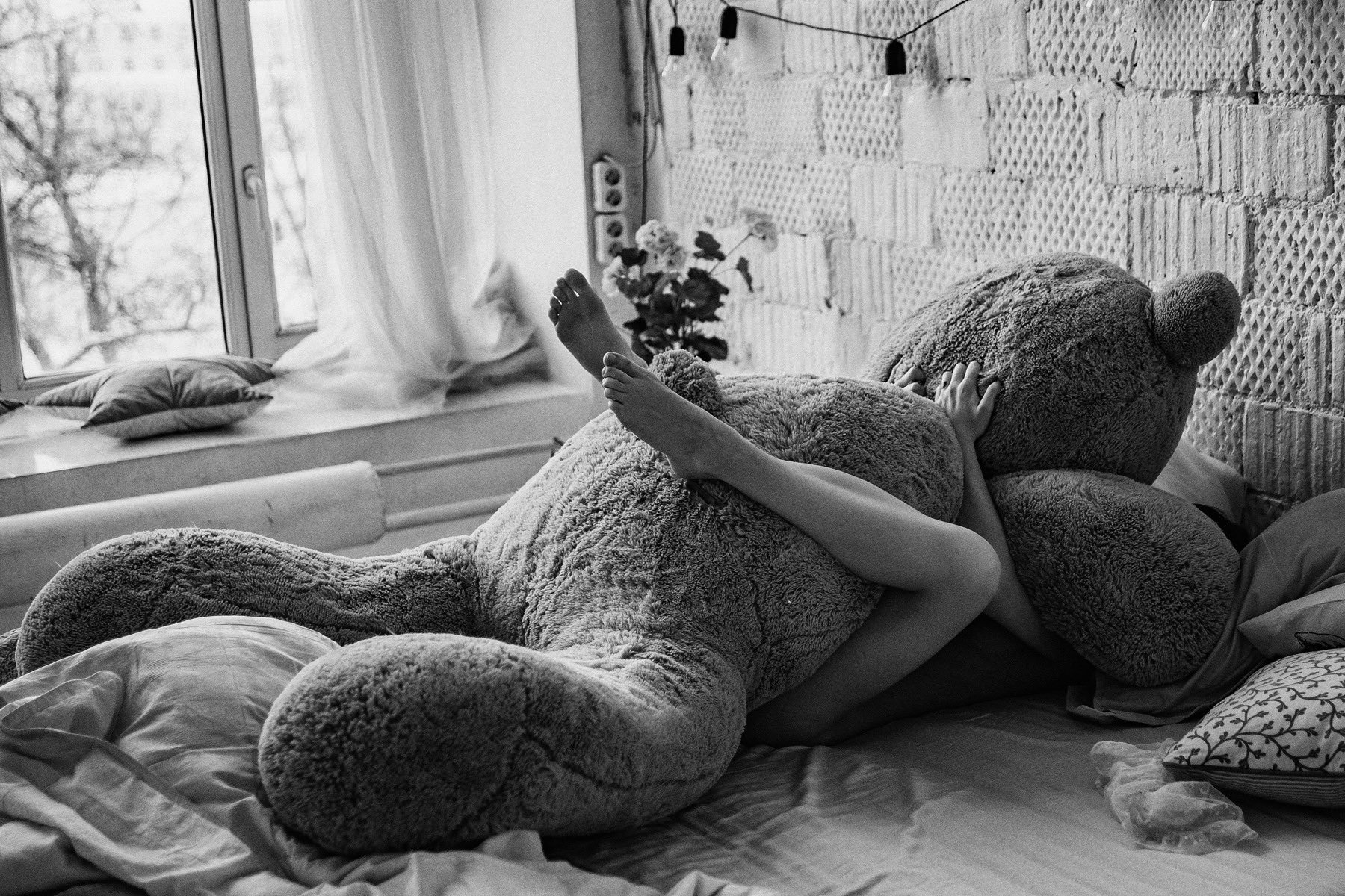 1800x1200, 577 Kb / медведь, ч/б, игрушка, ноги, окно, лампочки, цветы