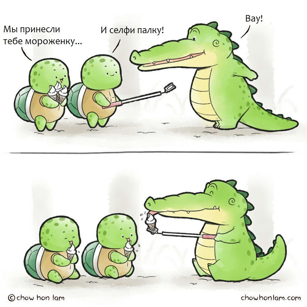 1000x1000, 144 Kb / крокодил, черепахи, мороженое, селфи-палка