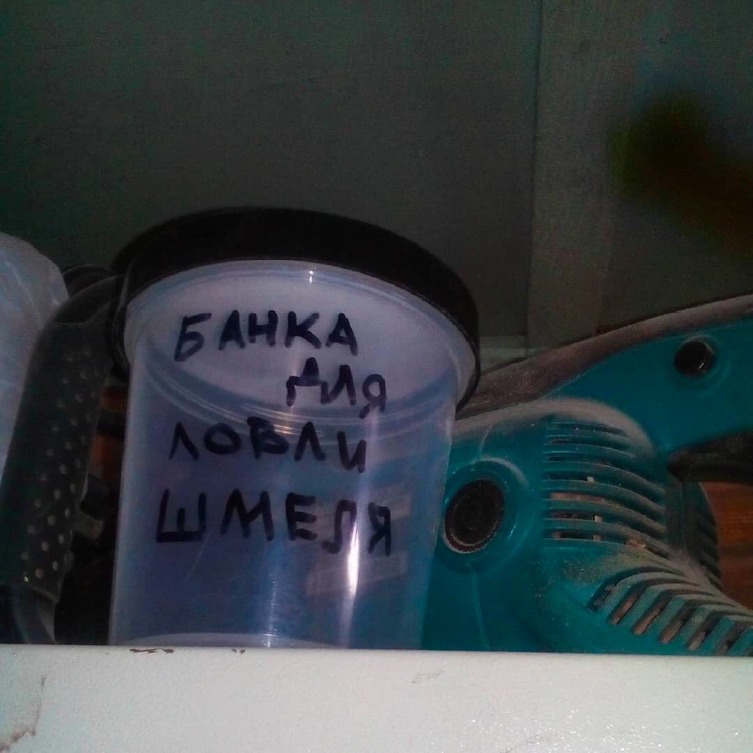 1080x1080, 72 Kb / банка, шмель, инструмент