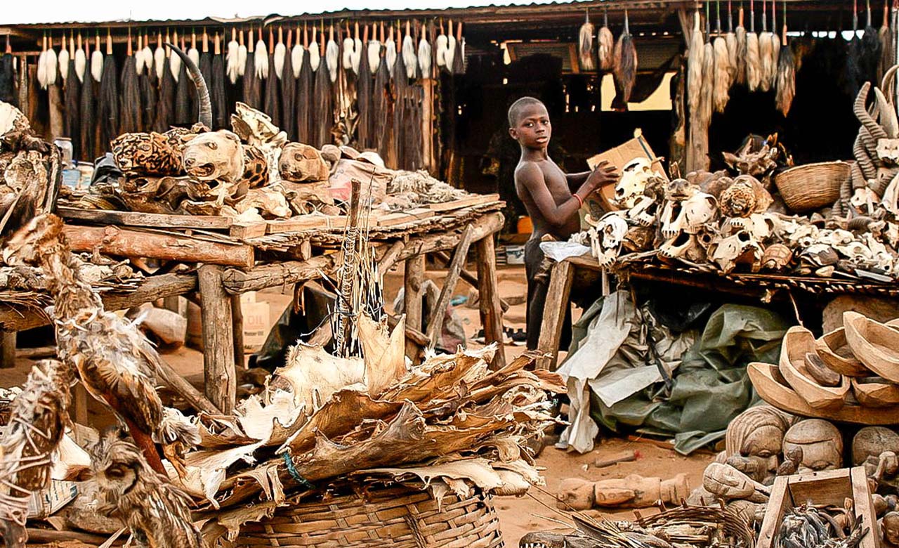 1280x780, 303 Kb / мальчик, базар, вуду, туши, кости, чучела, сувениры