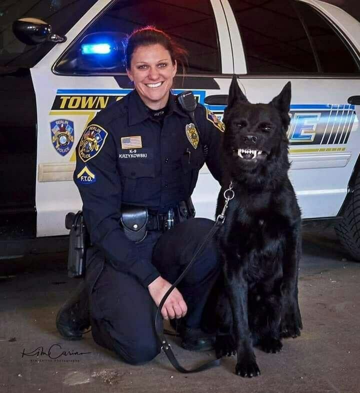 720x786, 79 Kb / полиция, собака, оскал, зубы, челюсть, черная