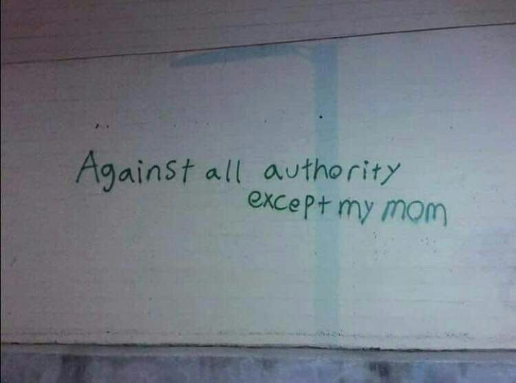 750x556, 34 Kb / власть, против, мама