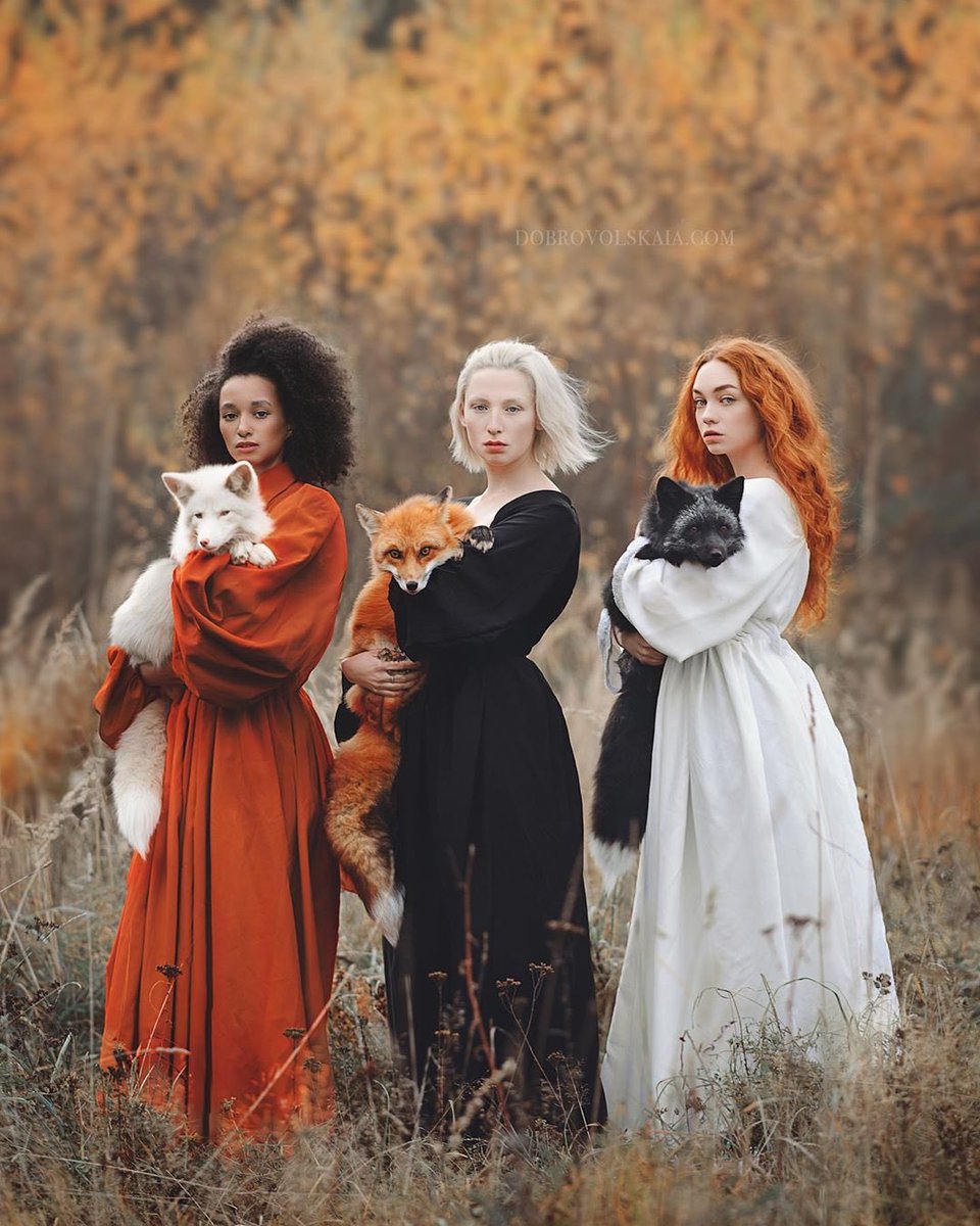 960x1200, 188 Kb / три, женщины, лисы, блондинка, брюнетка, рыжая