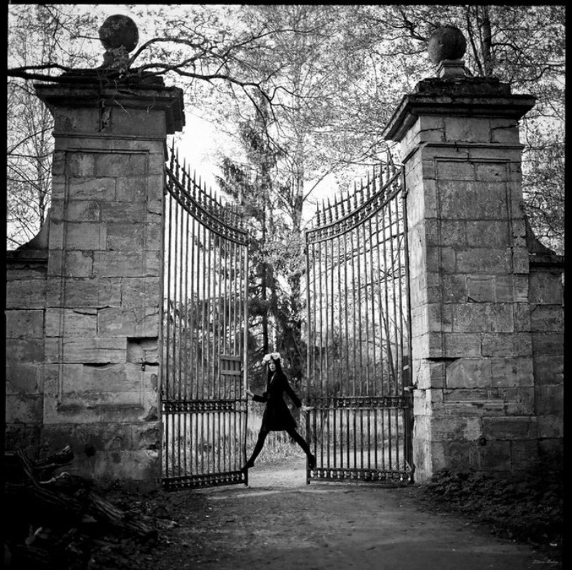 805x802, 215 Kb / женщина, ворота, деревья, ковка, ч/б