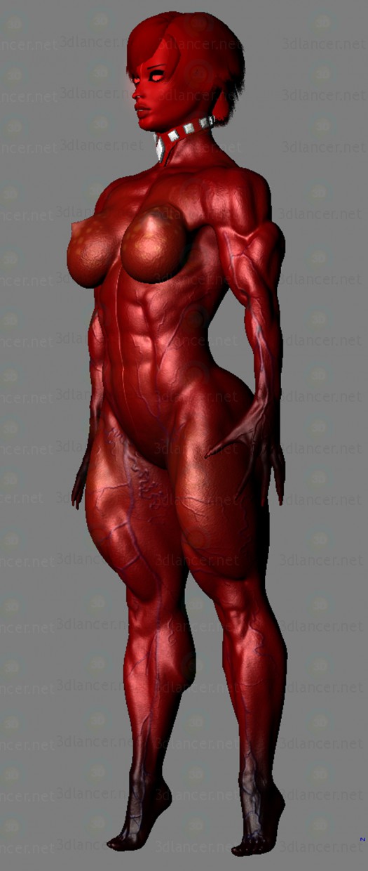 525x1240, 86 Kb / женщина, мода, красная, мышцы, рисунок