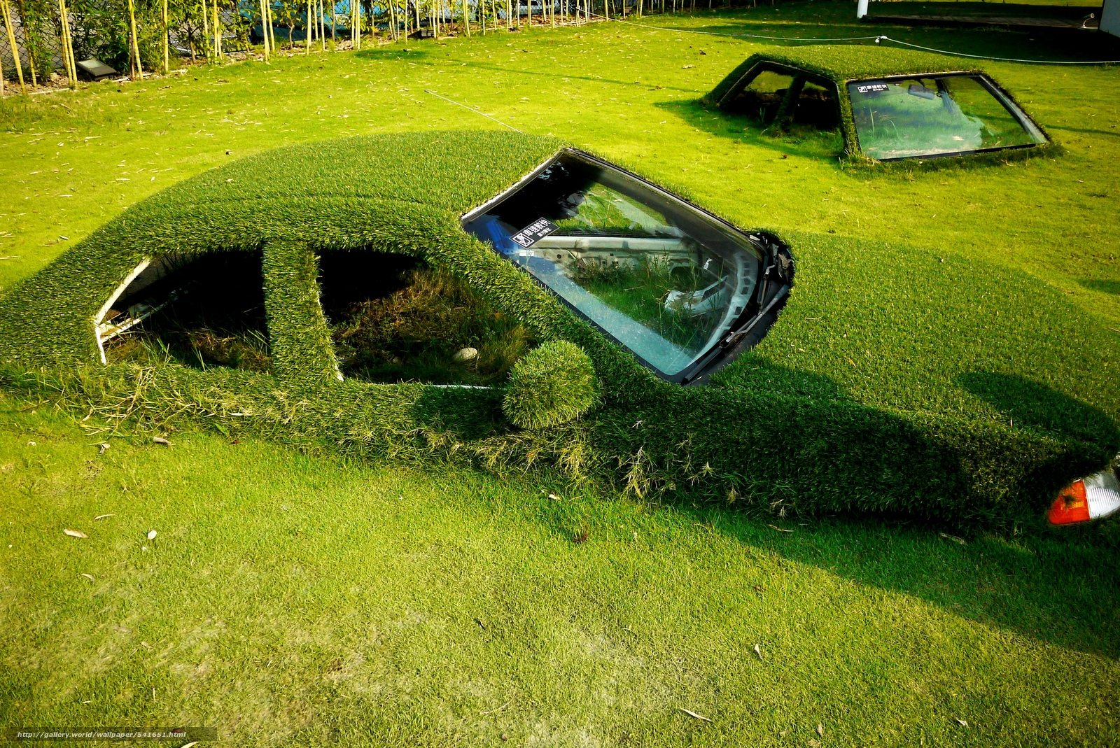 1600x1069, 627 Kb / парк, авто, трава, заросли, тайвань