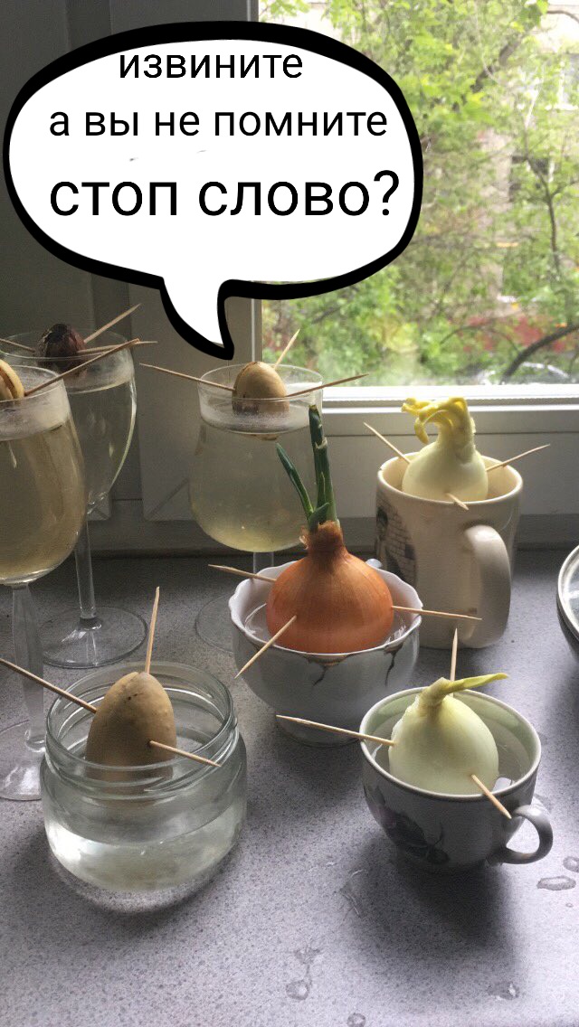 640x1136, 176 Kb / рассада, лук, кружки, банки, бокал, стоп слово, бдсм