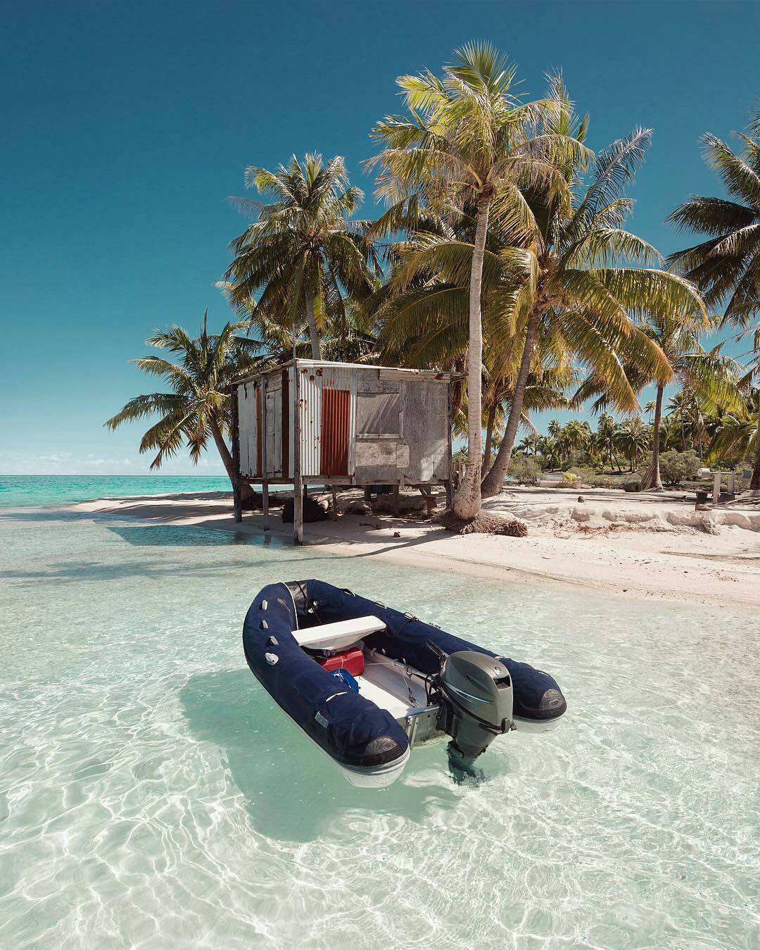 1080x1349, 261 Kb / пальмы, лодка, надувная, домик