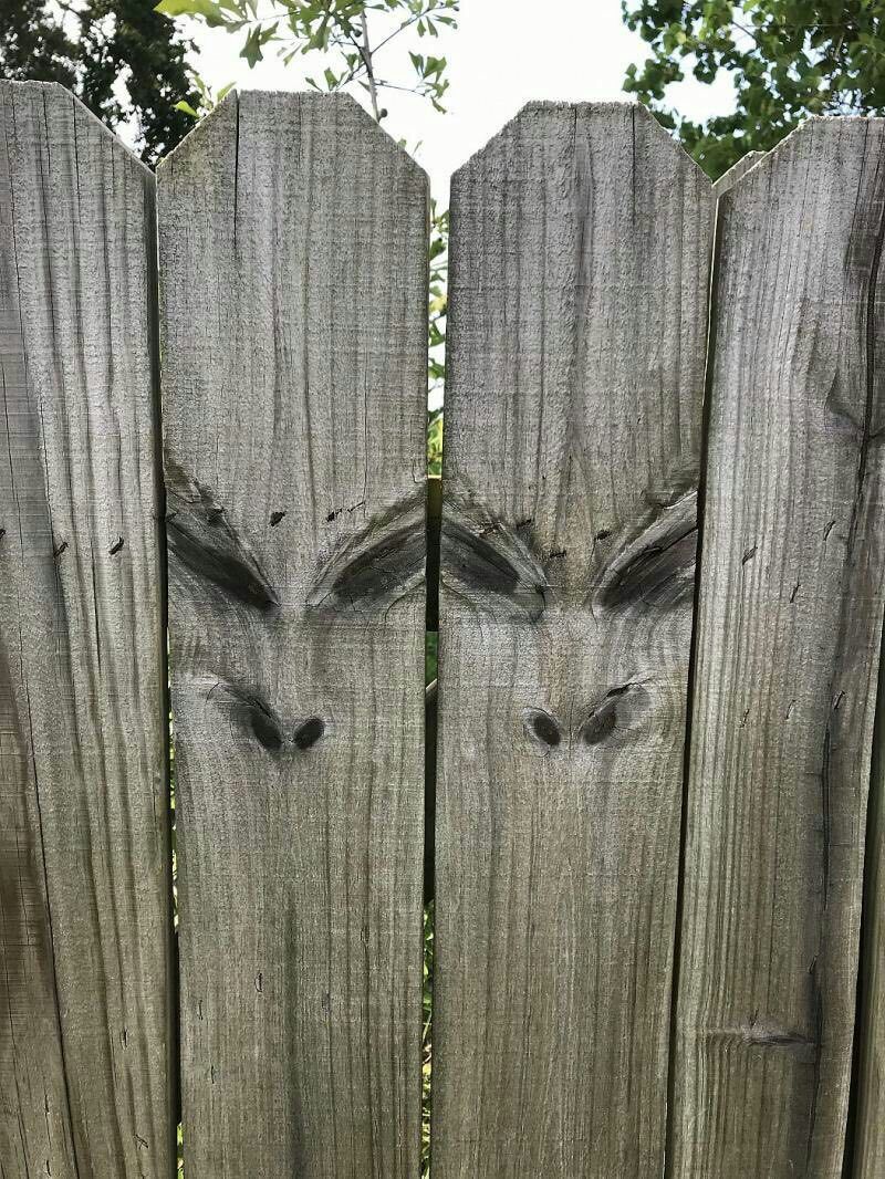 800x1066, 261 Kb / забор, инопланетяне, парейдолия