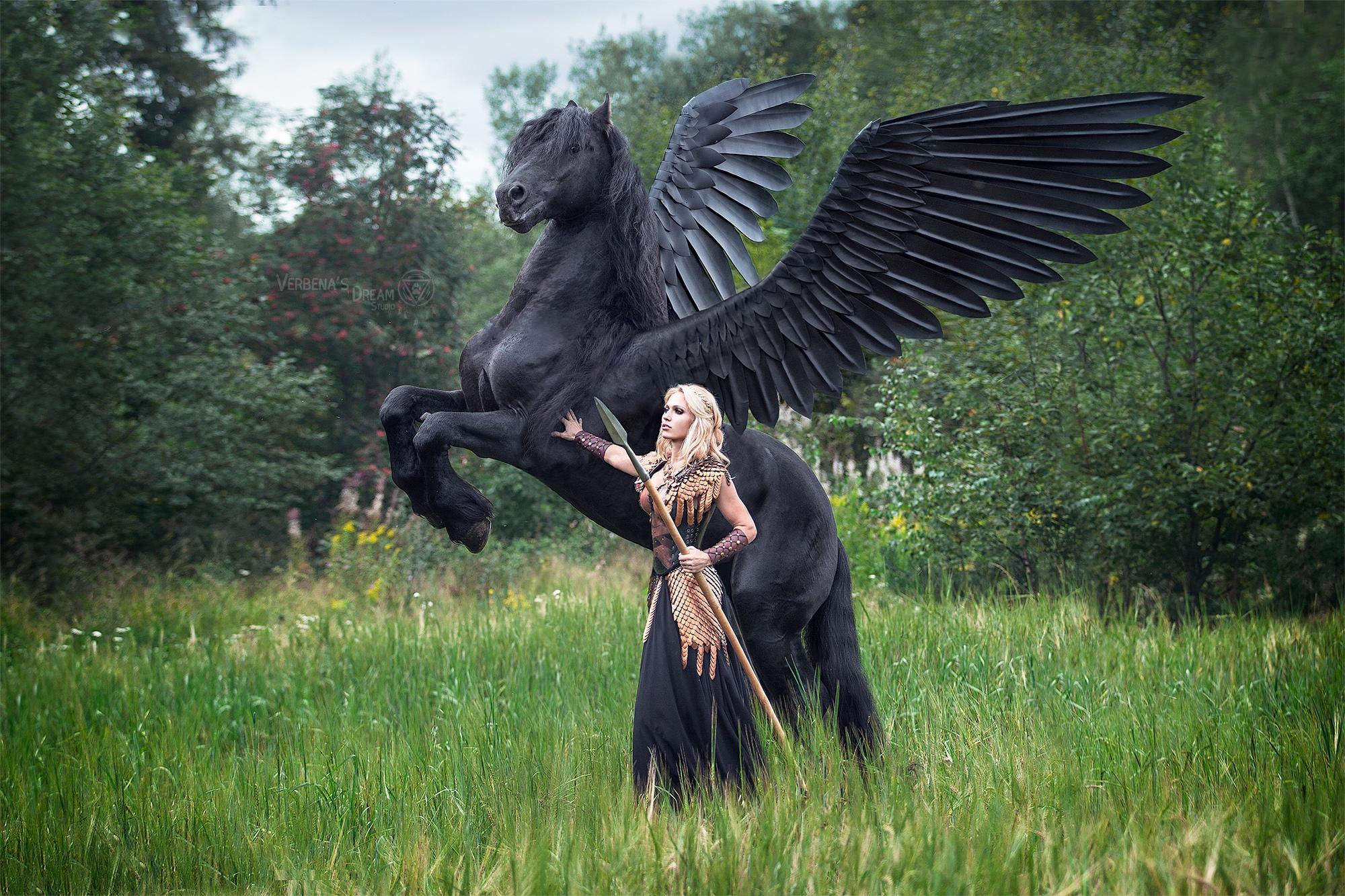 2000x1333, 492 Kb / Дарья Лефлер, конь, крылья, Пегас, копьё