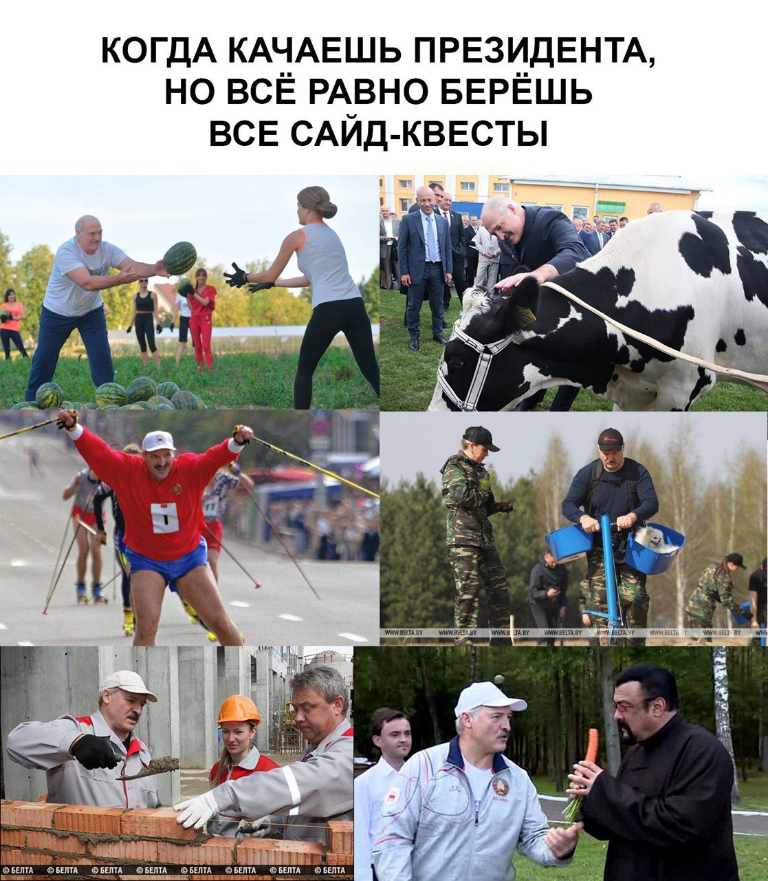 1117x1280, 354 Kb / президент, лукашенко, квест, сигал, шпиц, морковка, гонка, кирпичи, корова, арбузы