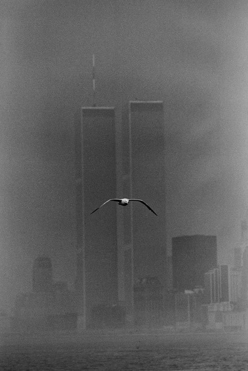 500x749, 66 Kb / две башни, чайка, ч/б