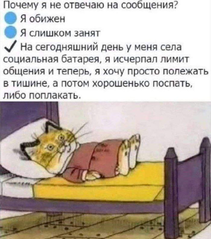 700x792, 107 Kb / котэ, кровать, сообщения, ответ, причина