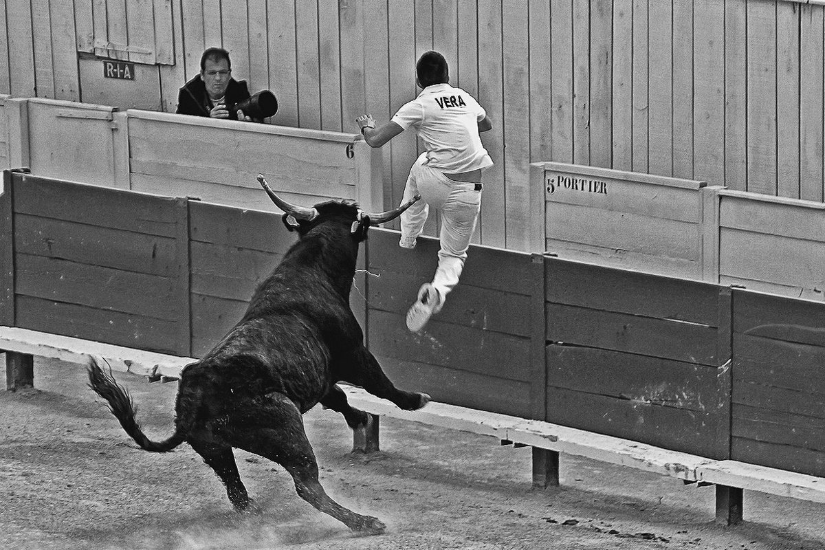 1200x800, 269 Kb / бык, коррида, фотограф, ч/б