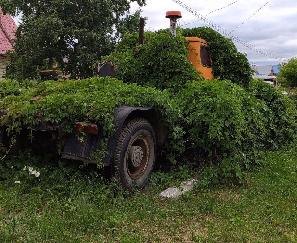 960x786, 458 Kb / грузовик, тягач, колесо, плющ, зарос