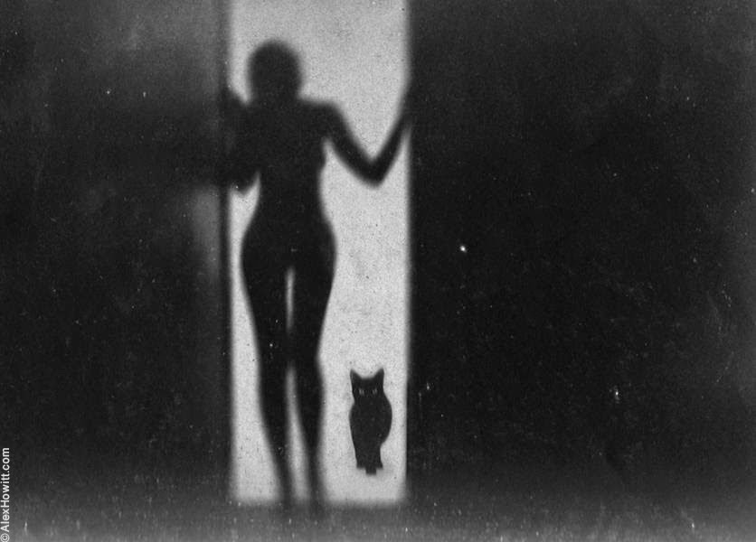 836x600, 44 Kb / женщина, кошка, силуэты, ч/б