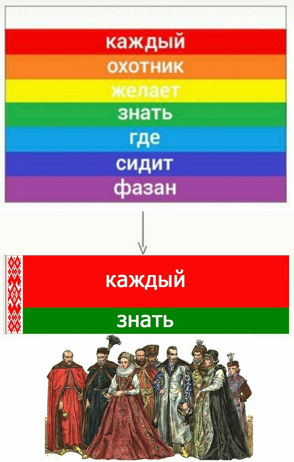 956x1500, 289 Kb / знать, флаг, каждый, беларусь, охотник, фазан