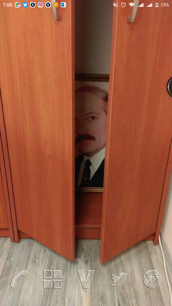 675x1200, 98 Kb / лукашенко, портрет, шкаф