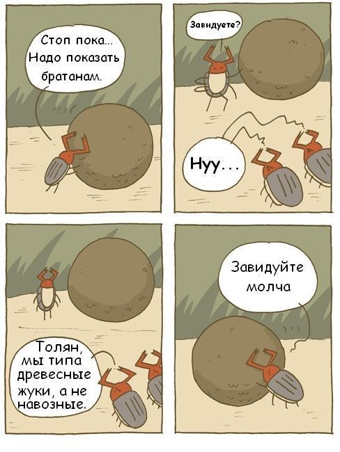 488x650, 51 Kb / портфолио, говно, навоз, жуки, зависть