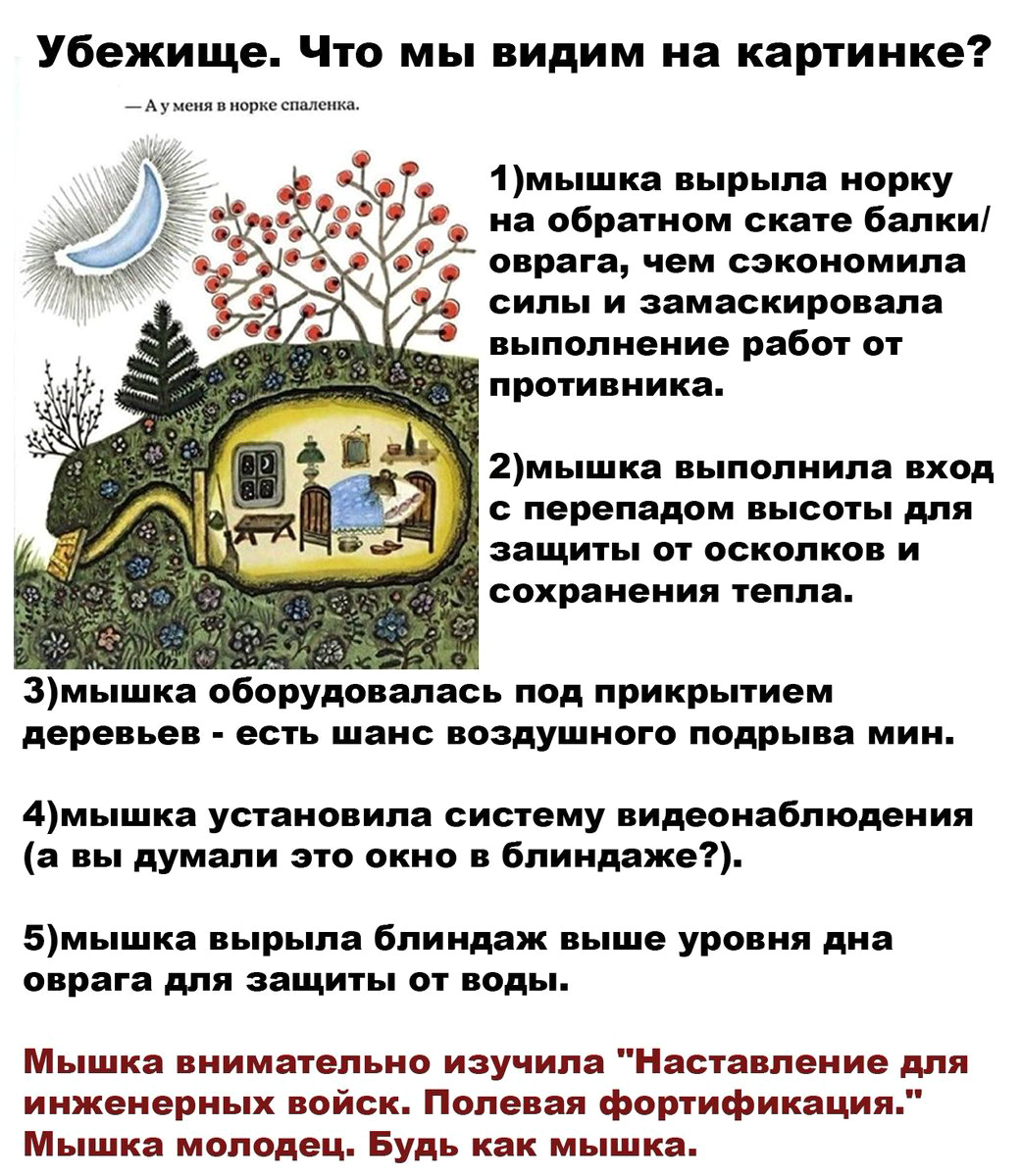 1041x1200, 346 Kb / акоп, мышка, молодец, блиндаж, нора, норка