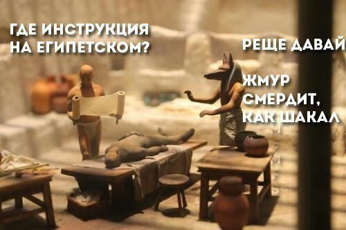 500x333, 43 Kb / жмур, инструкция