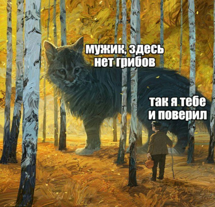 684x660, 125 Kb / котэ, грибник, лес, глюк