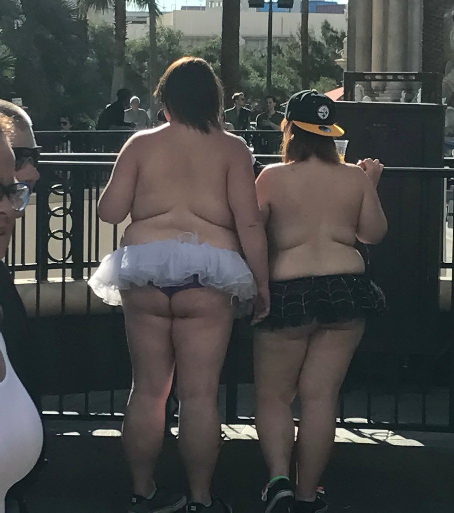 907x1026, 114 Kb / лебеди, пачка, забор, спина, жир