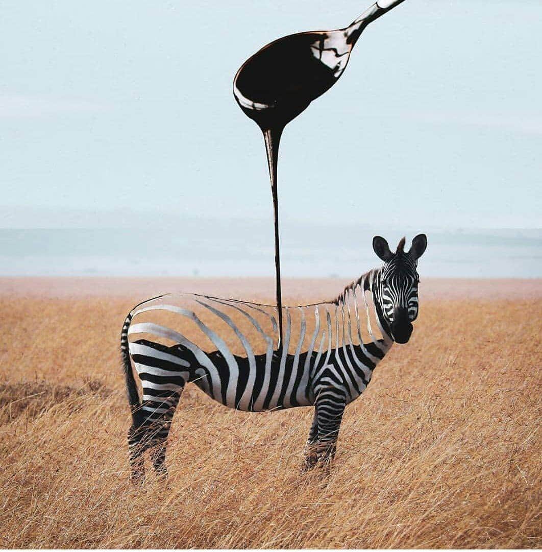 1062x1081, 115 Kb / Зебра, ложка, краска