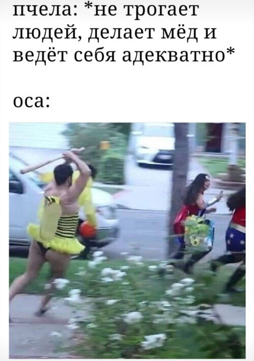 500x710, 75 Kb / мужик, оса, костюм, бита