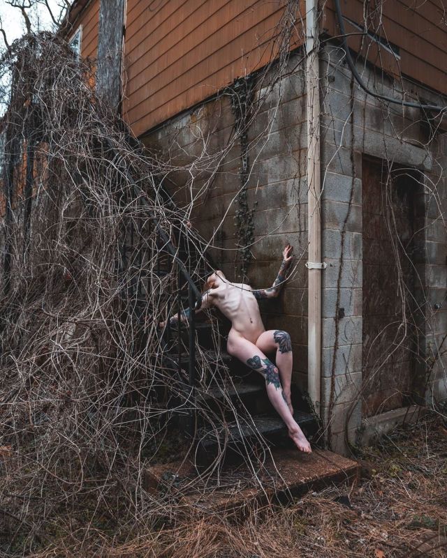 640x800, 145 Kb / женщина, дом, здание, корни, заросли, тату, лестница, ступени