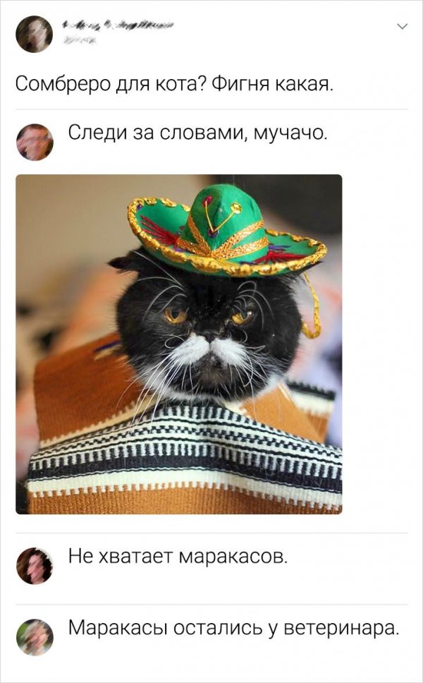 600x968, 93 Kb / самбреро, кот, маракасы