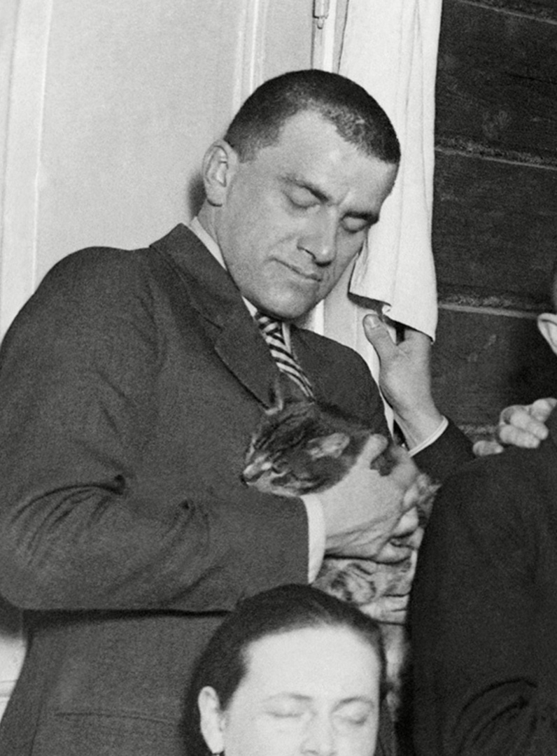 796x1080, 259 Kb / маяковский, кот, ч/б