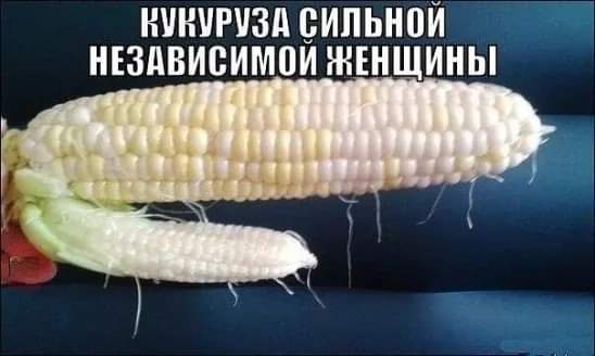 548x328, 20 Kb / Кукуруза, женщина, независимость