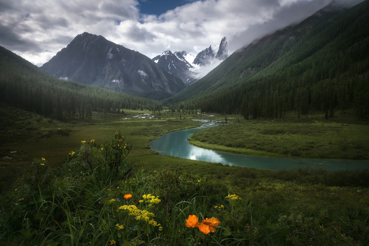 1280x854, 441 Kb / Алтай, долина, река, Шавла, горы, солнце, Владимир Ляпин, облака, туман