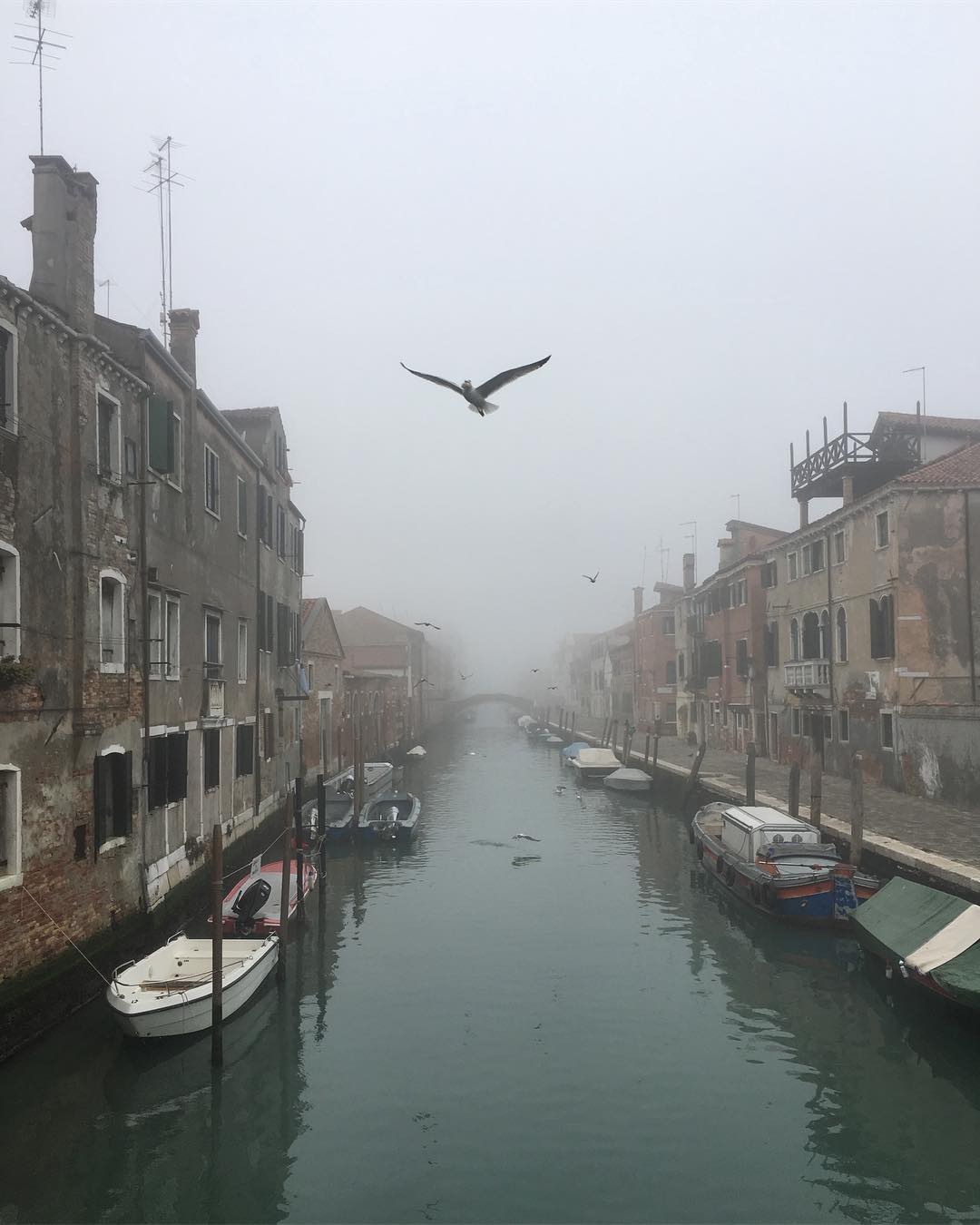 1080x1350, 97 Kb / Венеция, гондолы, вода, канал, здания, дома, чайки