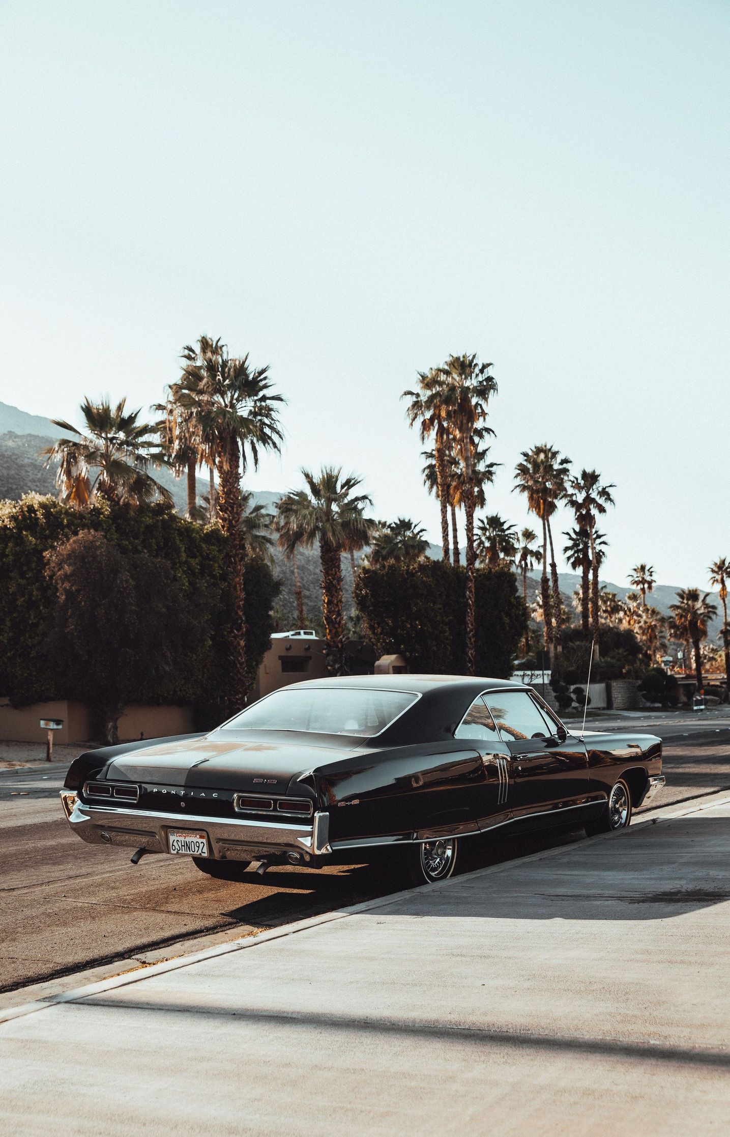 1435x2233, 461 Kb / автомобиль, классика, ретро, пальма, понтиак, калифорния, сша, Pontiac