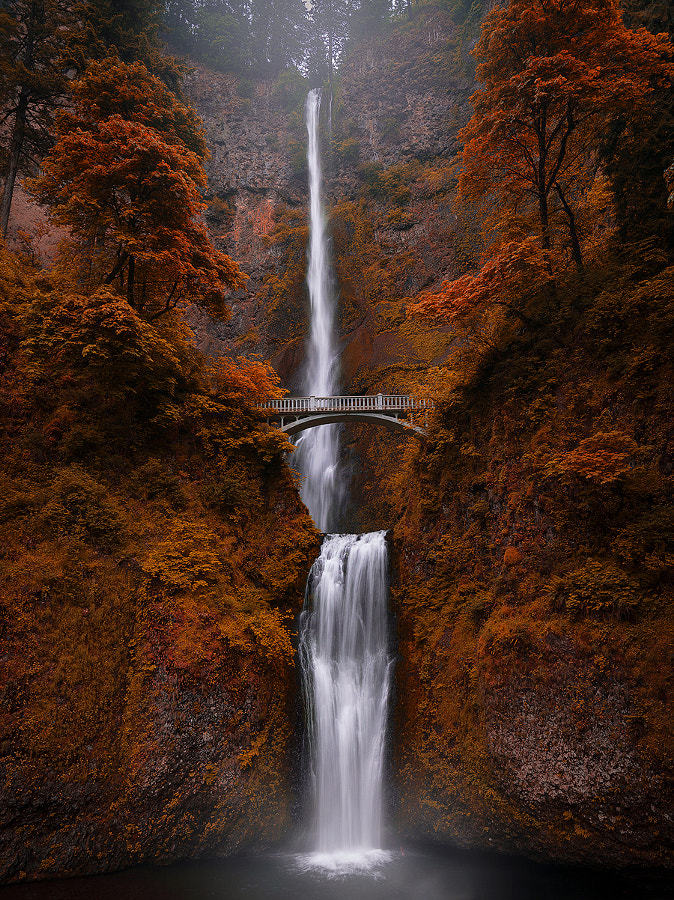 674x900, 251 Kb / мост, водопад, Multnomah Falls