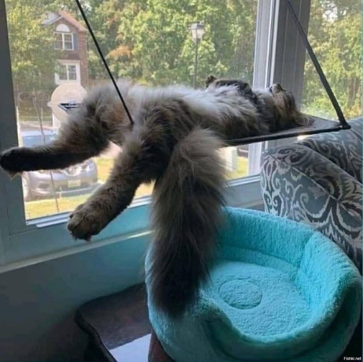 1242x1237, 199 Kb / кот, окно, кресло