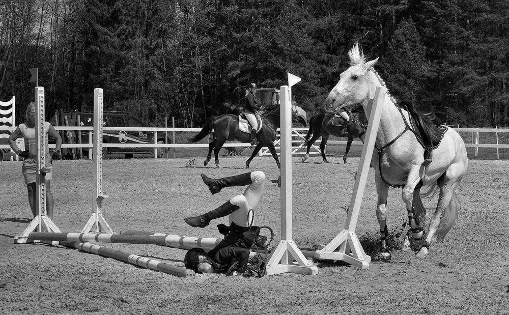 1000x619, 421 Kb / жокей, лошадь, преграда