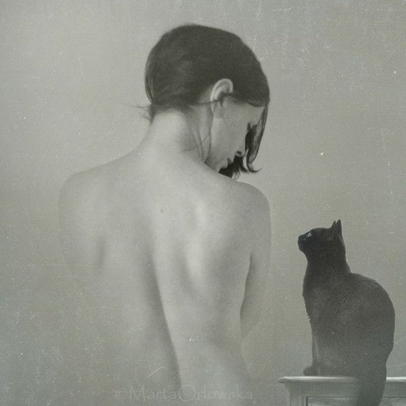 800x800, 81 Kb / женщина, кошка, ч/б, Марта Орловская