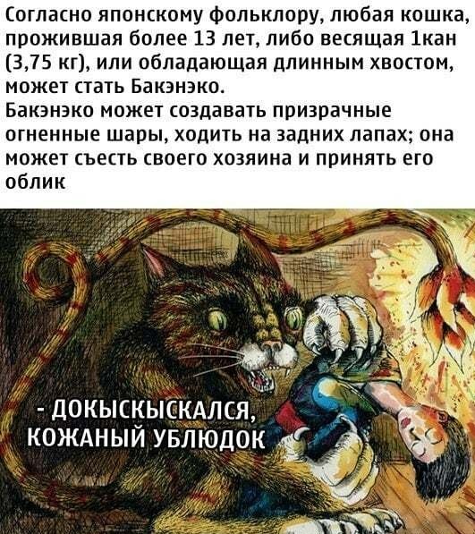 531x597, 128 Kb / япония, фольклор, бакэнэко, кот