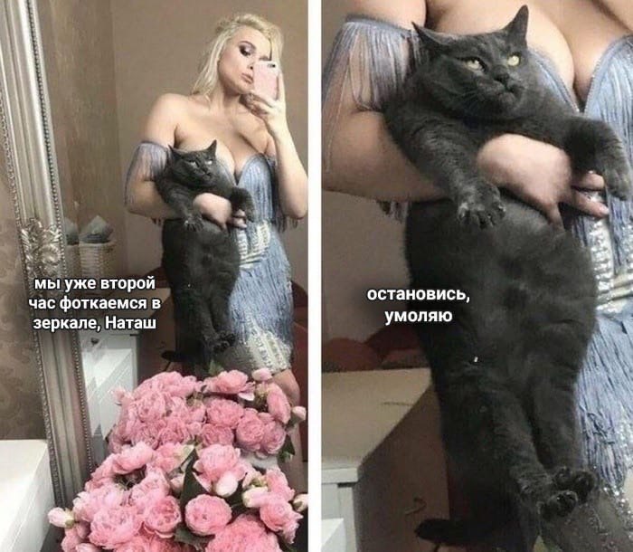 700x610, 92 Kb / Кот, селфи, розы, блондинка