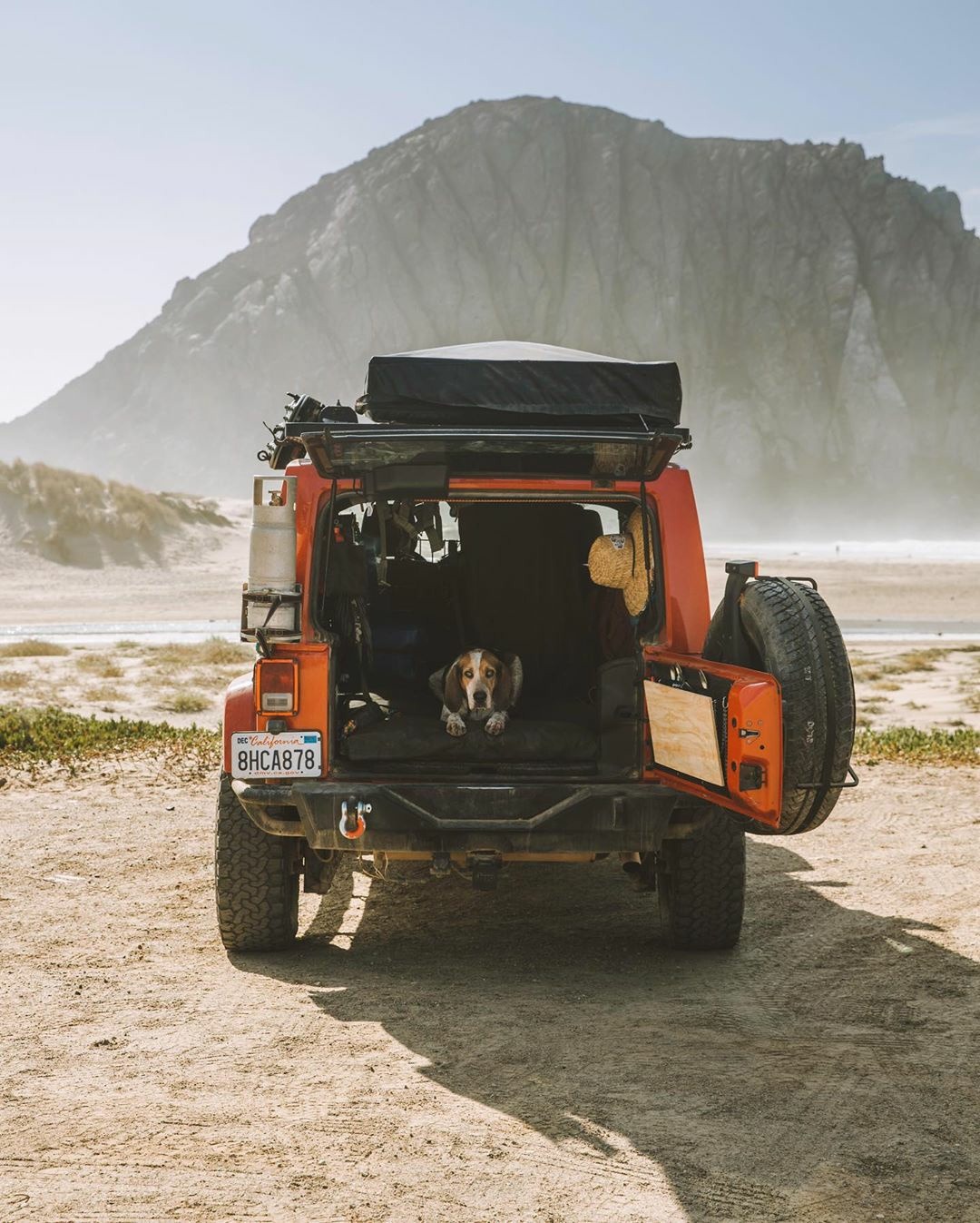 1080x1347, 280 Kb / внедорожник, песок, собака, горы, калифорния