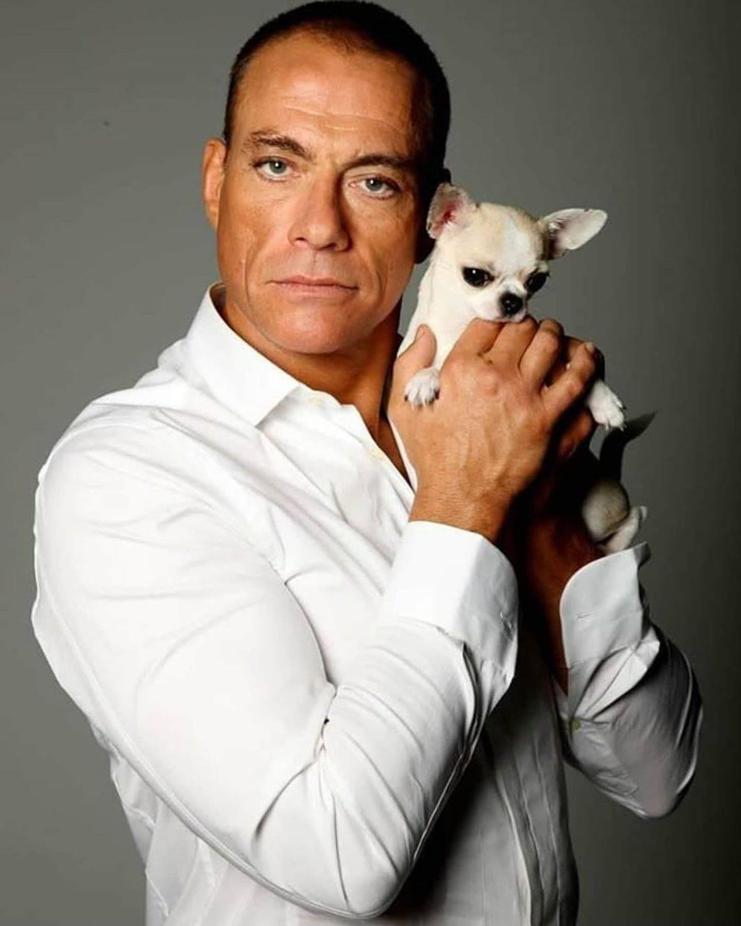 1080x1350, 93 Kb / жан клод ван дамм, рубаха, собака